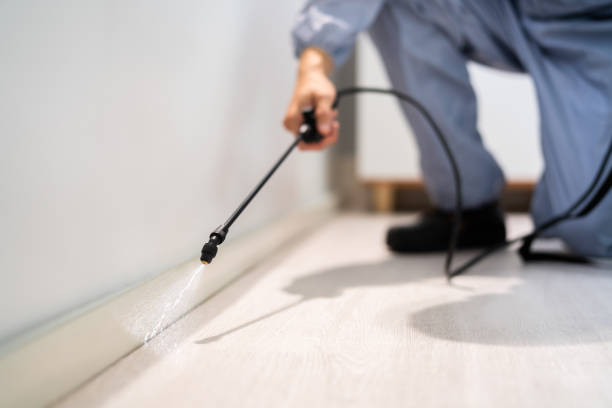 Licensed Ant Control service in Le Flore County County, OK - Nex Pest Control