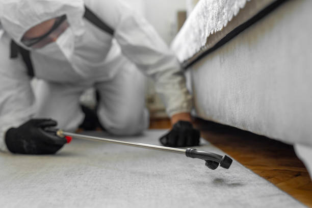 Professional Ant Control technician working in Le Flore County County, OK